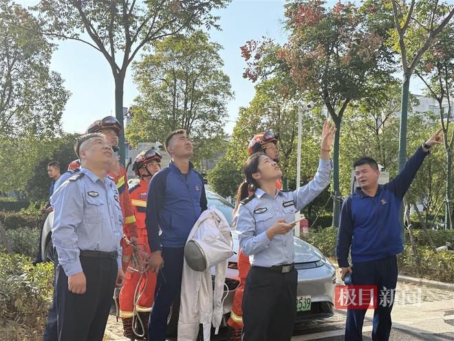 惊现巨大马蜂窝民警一个电话打给消防队请求支援米乐m6“119吗？我这里是110！