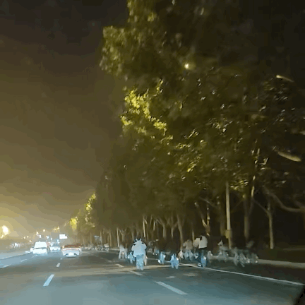 全国大学生免费开放央妈也来亲自宣传m6米乐泼天富贵临到开封！景点对(图20)