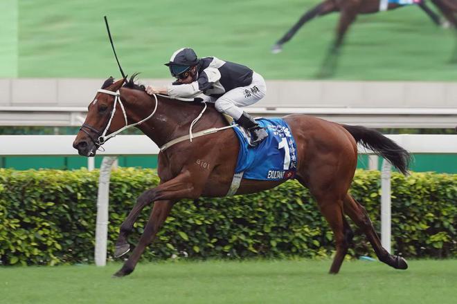 罩夺魁家族曾养香港马王米乐m6王经纬赛驹戴眼(图2)
